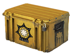 Chroma 2 Case CS2 skin