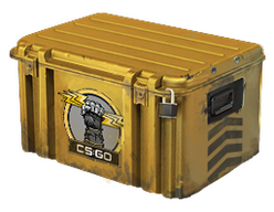 Glove Case CS2 skin