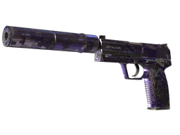 Souvenir USP-S | Purple DDPAT (Well-Worn) CS2 skin