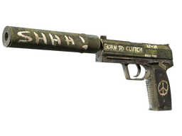 USP-S | Flashback (Minimal Wear) CS2 skin