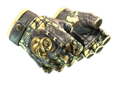 ★ Broken Fang Gloves | Yellow-banded (Field-Tested) CS2 skin