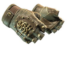 ★ Hydra Gloves | Mangrove (Field-Tested) CS2 skin