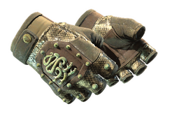 ★ Hydra Gloves | Rattler (Field-Tested) CS2 skin